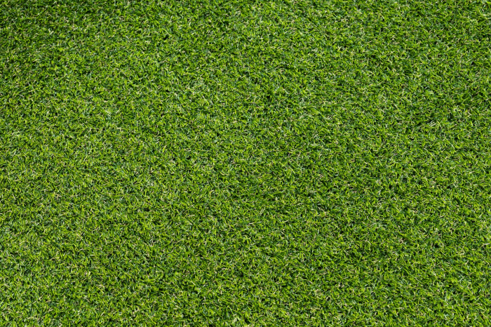 Covor Gazon Iarba Artificiala Produs Belgia, Calitate Premium, Model Fuse 25 mm inaltime fir, Gradinita/ Loc de Joaca/Terasa/Curte, Verde [10]