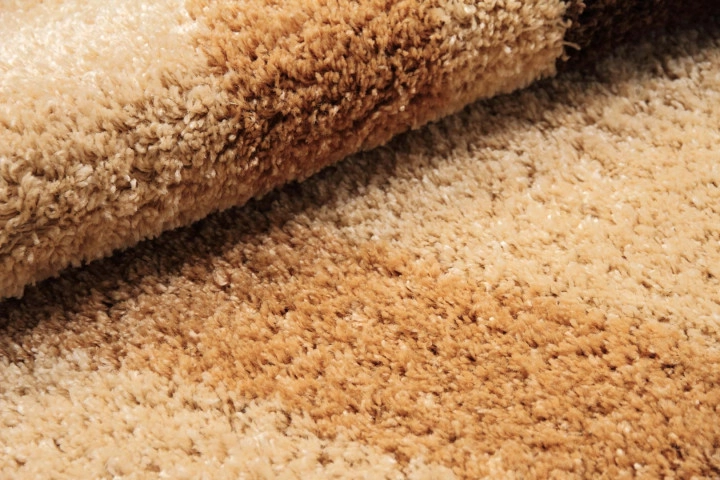 Model 12506, Covor Fantasy, Dimensiunea 160x230 cm, Bej [2]