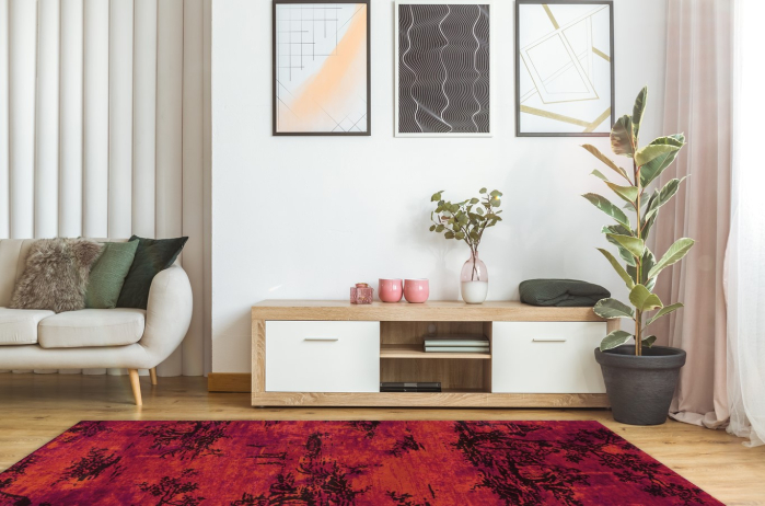 Covor Modern Living/Dormitor, Model Vintage 5206, Rosu [3]