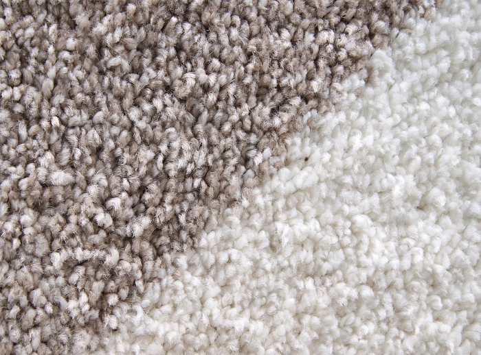 Covor Sufragerie /Dormitor/ Camera Copii, Model Aria 11/110, Inaltime fir 17 mm, Crem [2]