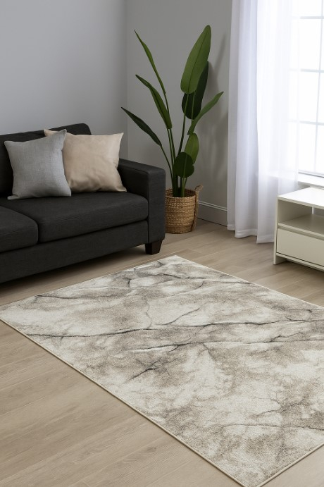 Covor Sufragerie/ Dormitor, Model Elma El005/106, Gri/Bej [1]