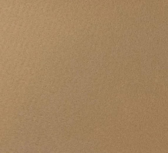 Mocheta Evenimente/Expo, Beige 4962, Latime 2 m, 750 gr/mp, Beige [2]