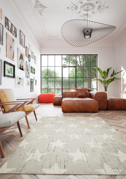 Covor Belgian Dreptunghiular Cancun 18209-052, 160x230 cm [2]
