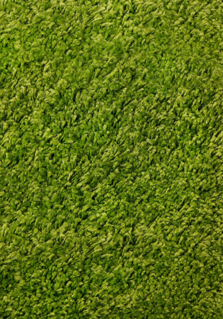 Covor Shaggy de Luxe, 8000-60, Verde, 140x200 cm [0]