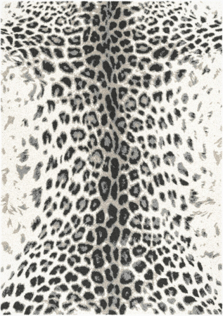 Covor Sufragerie, Belgian, Model 60638-363, Colectia Ecuador, Gri [3]