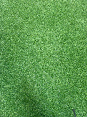Covor Gazon Iarba Artificiala, Gradinita/ Loc de Joaca/Terasa/Curte, Model Leisure Inaltime fir 15 mm, Verde [6]