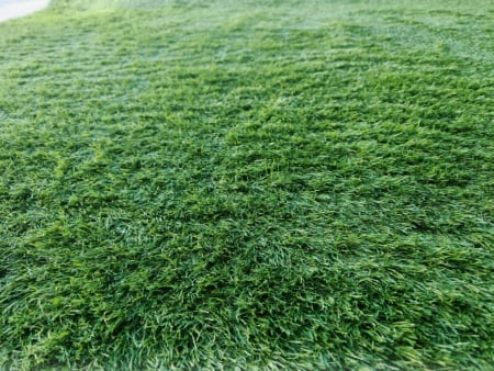 Gazon Artificial - Covor Gazon Iarba Artificiala Jakarta, Gradinita/ Loc de Joaca/Terasa/Curte, Inaltime fir 30 mm, Verde, SUPER PRET 59.99 LEI/MP!!!