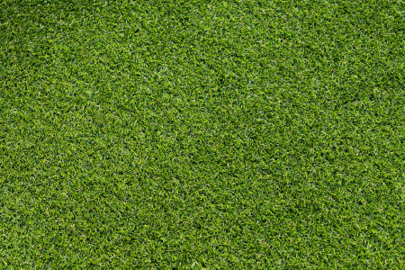 Covor Gazon Iarba Artificiala Produs Belgia, Calitate Premium, Model Fuse 25 mm inaltime fir, Gradinita/ Loc de Joaca/Terasa/Curte, Verde [9]