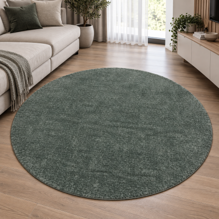 Covoare Dormitor - Covor Living/Dormitor, Fargo 71501/040, Rotund, Verde