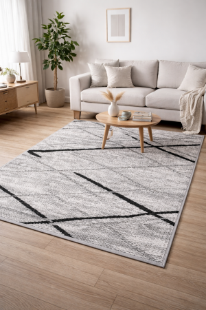 Covoare Moderne si Geometrice - Covor Living/Dormitor, Model16430-168, Dreptunghiular, Gri