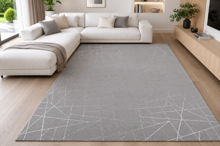 Covoare Living - Covor Modern Living/Dormitor, Model Bijou 125, Grej