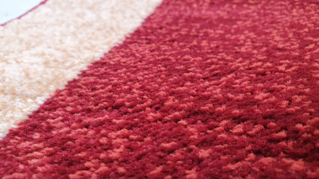 Model Lotos 1570, Covor Dreptunghiular 80x150 cm, 1800 gr/mp [1]