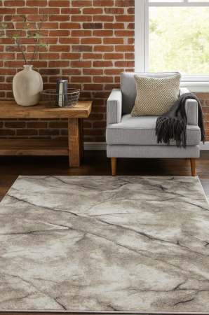 Covor Sufragerie/ Dormitor, Model Elma El005/106, Gri/Bej [2]