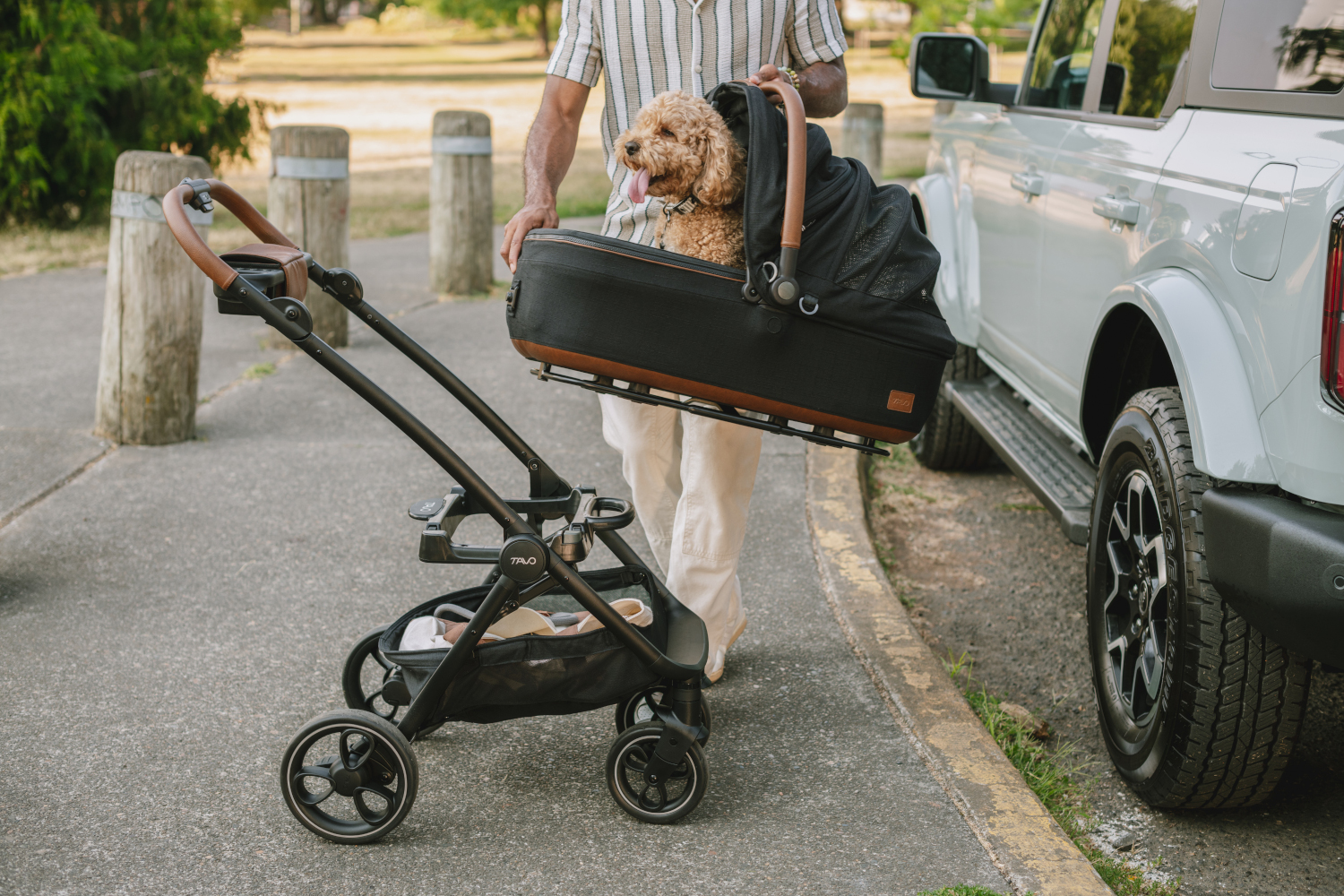 Roscoe: confort si siguranta pentru fiecare plimbare cu animalul tau de companie