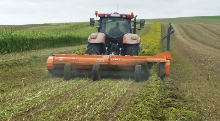 TOCATOARE RESTURI VEGETALE - FAST 4800 DT [4]