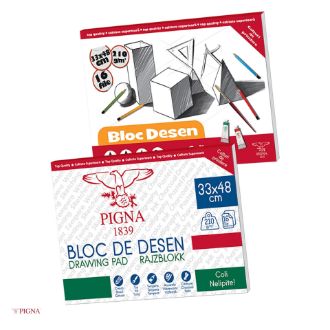 Acuarele, pensule si blocuri de desen - Bloc de desen Pigna, 16 file, 210 g/mp, alba, 33x48 cm