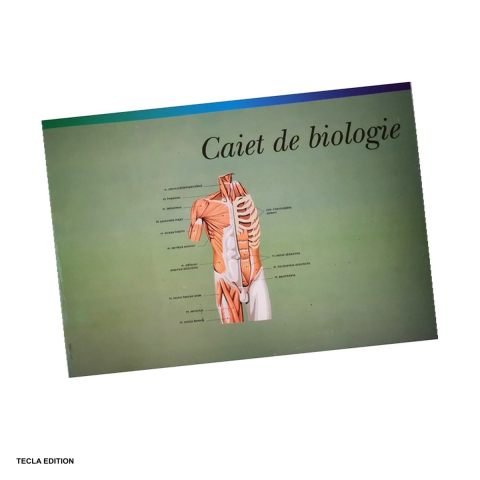 Birotica papetarie - Caiet biologie mare Gold, A4, 24 file, 29.5x20.5 cm, liniatura speciala, auriu