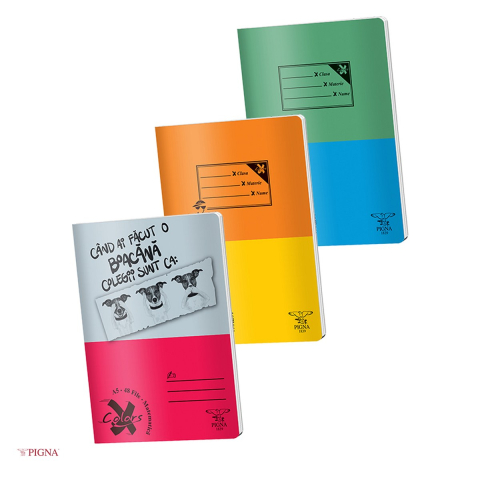 Birotica papetarie - Caiet Pigna Basic, A5, 48 file, matematica, aritmetica