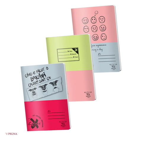 Birotica papetarie - Caiet Pigna Basic, A5, 60 file, dictando