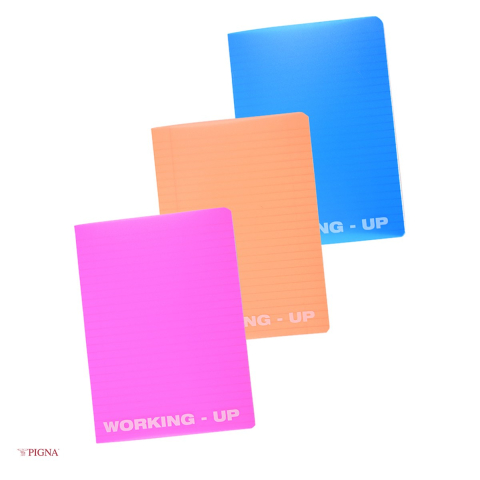 Birotica papetarie - Caiet Pigna Working Up, A5, din plastic, 48 file, dictando, coperta pp