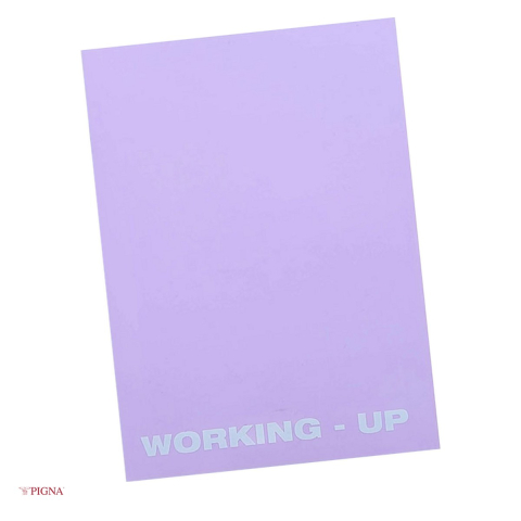 Birotica papetarie - Caiet Pigna Working Up, A5, din plastic, 48 file, velin, coperta pp