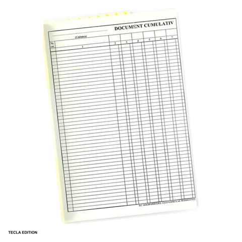 Formulare tipizate - Document cumulativ vertical, A4, 100 file