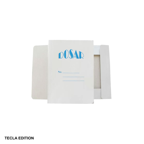 Dosare carton - Set 10 dosare carton plic Tecla Edition Gold, cu clape interioare, pentru arhivare documente