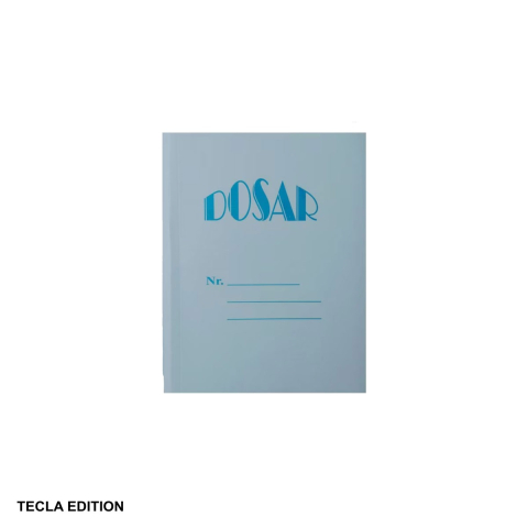 Dosare carton - Set 10 dosare carton simplu Tecla Edition Gold, 230 g/mp, pentru arhivare si organizare documente