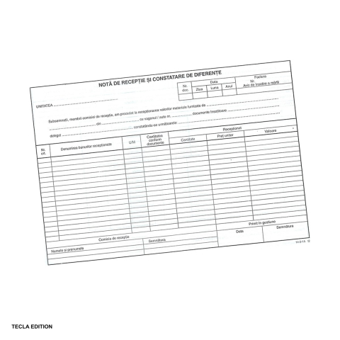 Tipizate nepersonalizate - Nota de receptie si constatare de diferente fara TVA, A4, autocopiativ, 100 file