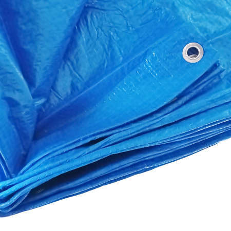 Prelate si plase - Prelata multifunctionala, 5 x 8 m, 95g/m², Topex, cu inele de prindere, albastra