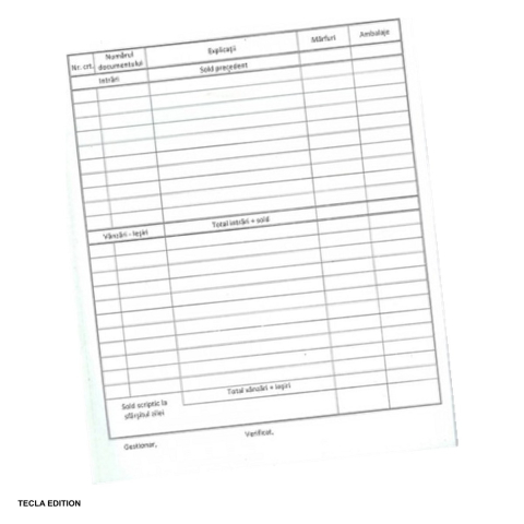 Tipizate nepersonalizate - Raport de gestiune zilnic, A4, autocopiativ, 50 file
