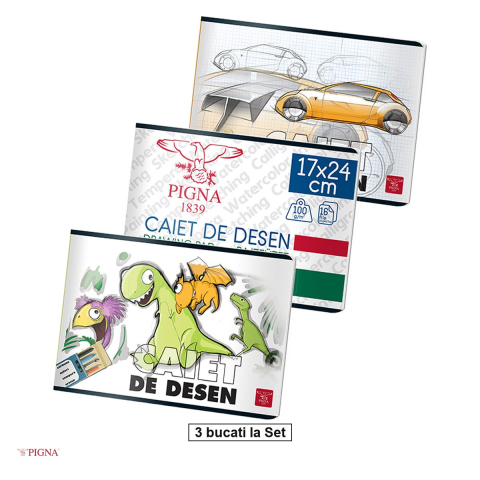 Caiete speciale - Set 3 caiete Pigna, pentru uz scolar, 16 file, desen 110 g