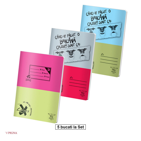 Birotica papetarie - Set 5 caiete Pigna Basic, A5, 80 file, dictando