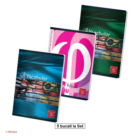 Birotica papetarie - Set 5 vocabulare Pigna, pentru uz scolar, 24 file, color