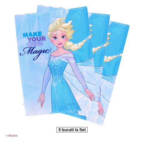 Birotica papetarie - Set 5 coperte Pigna Frozen, A5, caiet