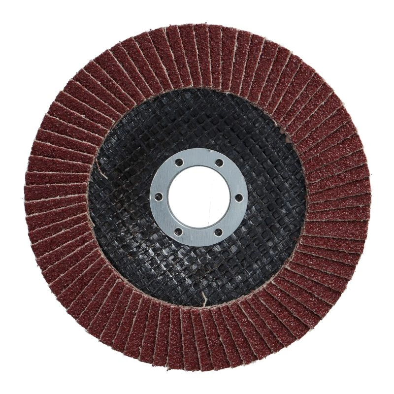 Discuri lamelare cu smirghel 125mm P60 Brenar [3]