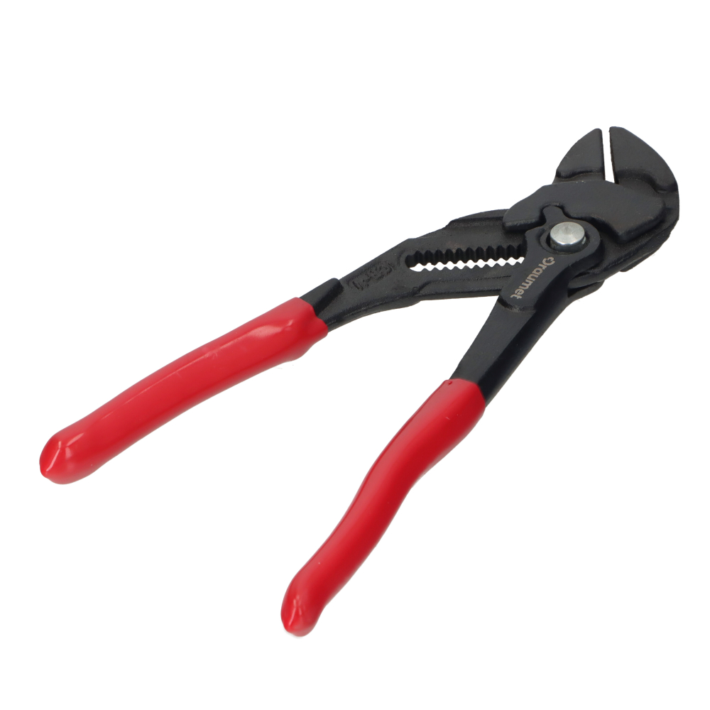 Cleste papagal drept 250mm CLIK - Draumet [2]