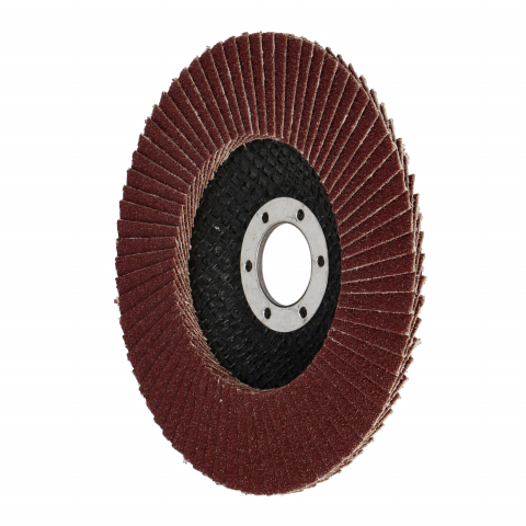 Discuri lamelare cu smirghel 125mm P80 Faster Tools [1]