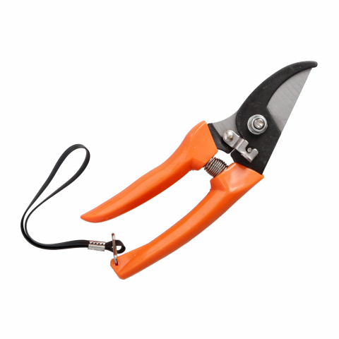 Foarfeci pentru gradina - vie, pomi, gazon si gard viu - Foarfeca pentru vie si pomi 180mm Forester