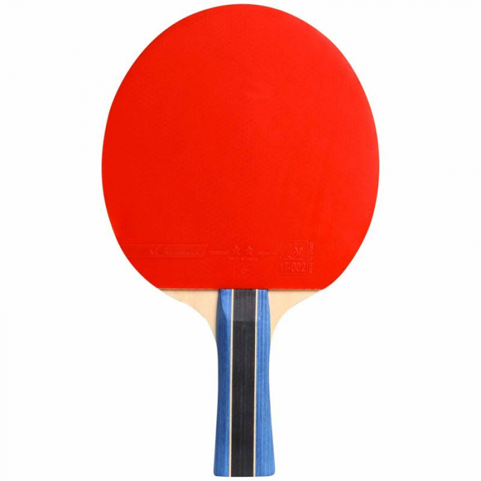 Paleta Cornilleau Sport 200 [3]