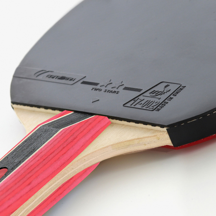Paleta Cornilleau Sport 300 [5]