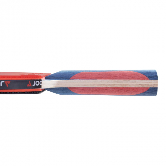 Paleta Joola Rossi Jr Pro [4]