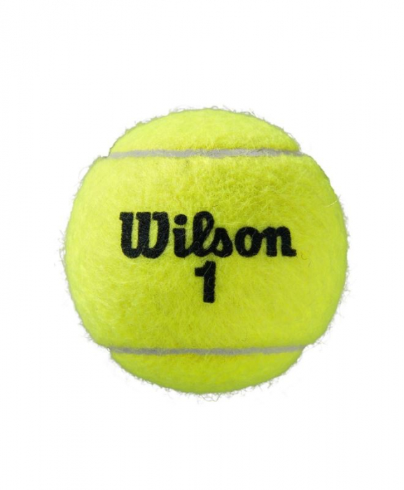 Set mingi tenis Wilson Roland Garros Clay, Official, zgura 4 mingi/cutie [2]