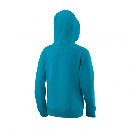 Hanorac Wilson Script [1]