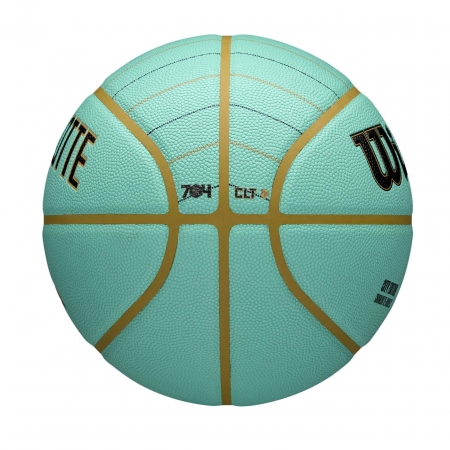 Minge baschet Wilson NBA TEAM CITY COLLECTOR Charrlotte Hornets 24-25 [6]