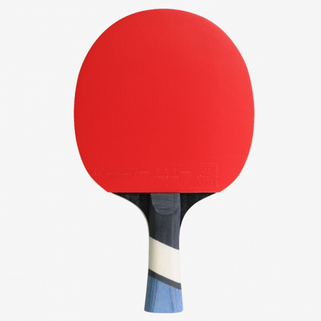 Paleta Cornilleau Perform 500 [2]