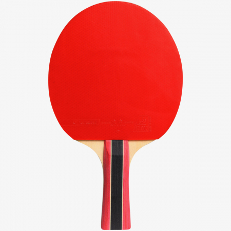 Paleta Cornilleau Sport 300 [1]