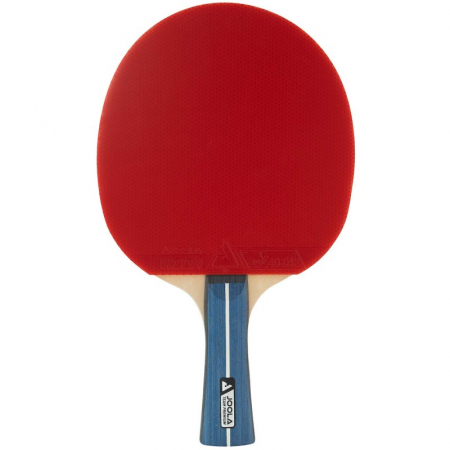 Paleta tenis masa JOOLA Team Premium [1]
