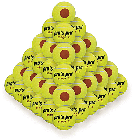 Pros Pro - Pros Pro Stage 2 Pachet 60 Mingi Tenis de Camp