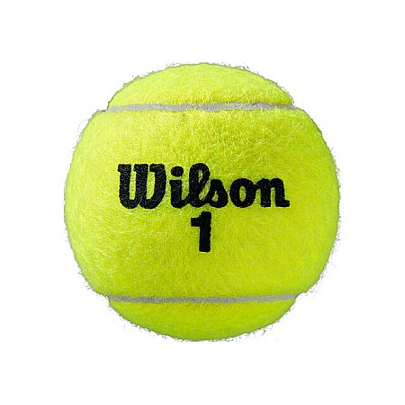 Wilson - Roland Garros Clay Cutie 4 Buc. Mingi Tenis De Camp Competitionale Zgura [2]